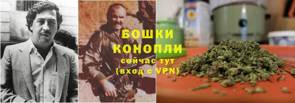 стаф Балахна