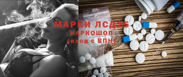 гашик Аркадак