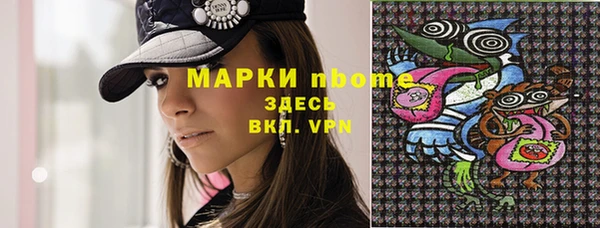 стаф Балахна