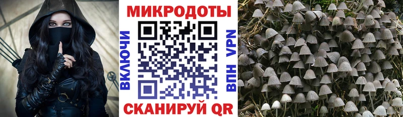 Галлюциногенные грибы Cubensis  Купить где  Пересвет 